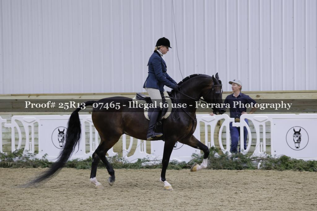 Proof Number 25R13_07465