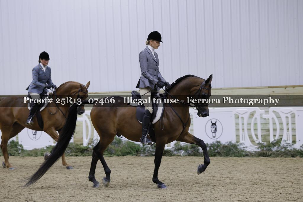 Proof Number 25R13_07466