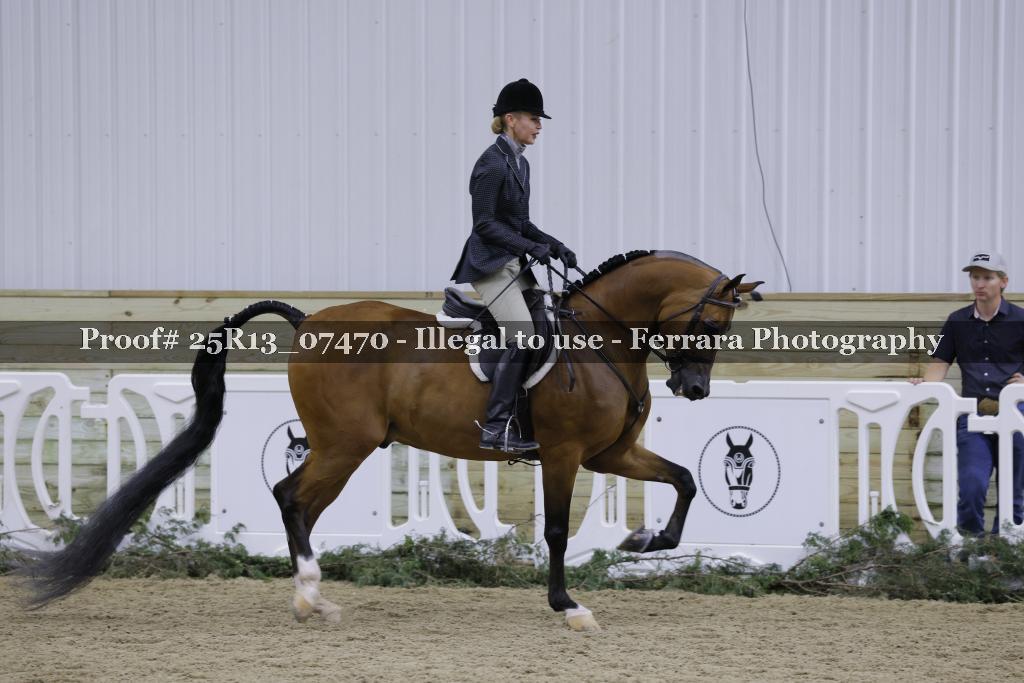 Proof Number 25R13_07470