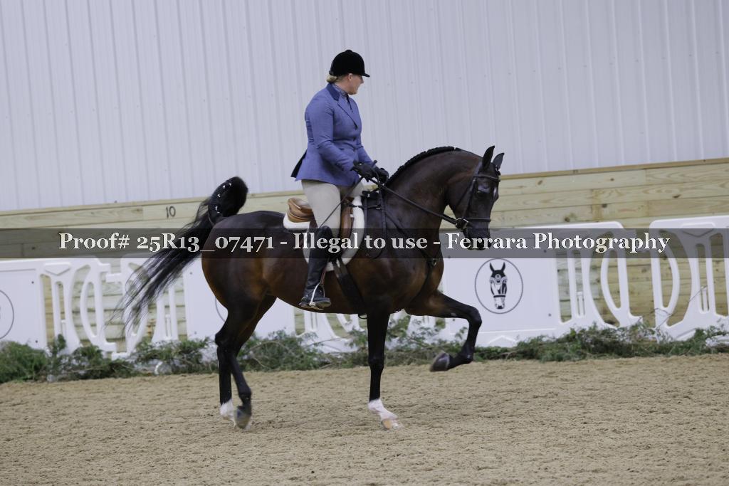 Proof Number 25R13_07471
