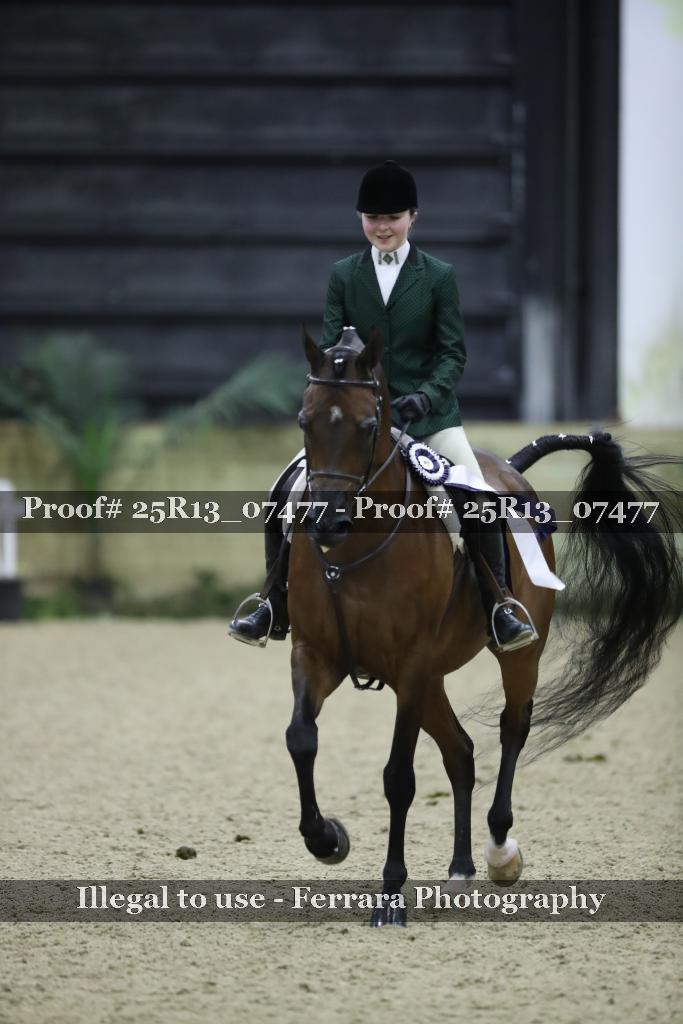 Proof Number 25R13_07477