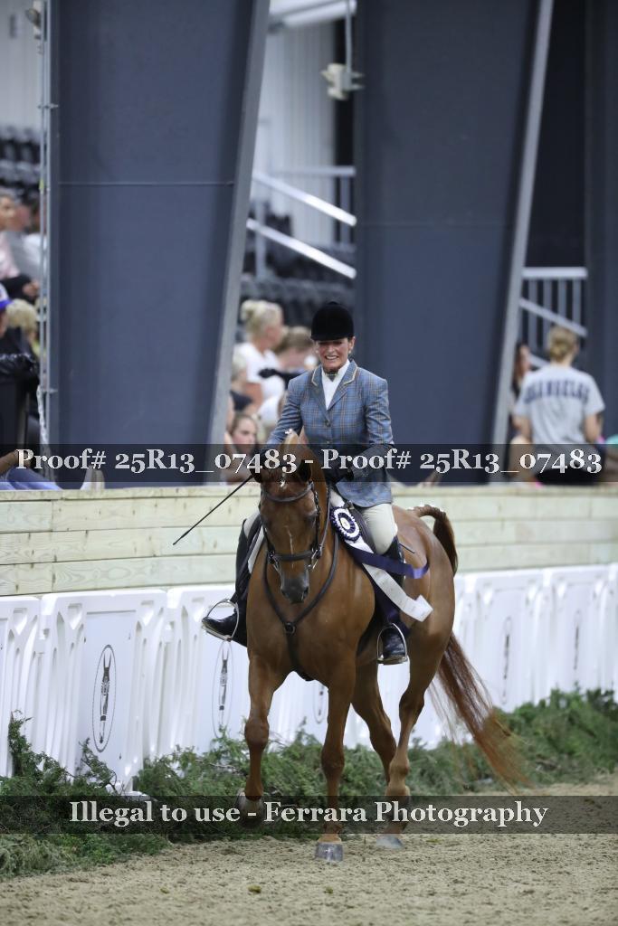 Proof Number 25R13_07483
