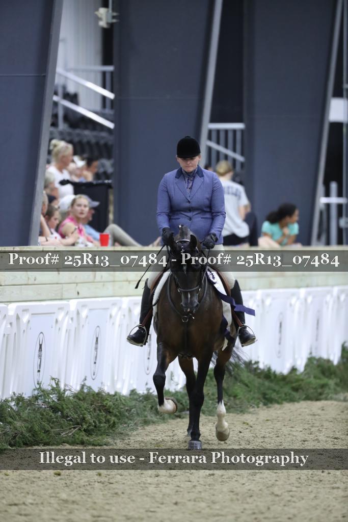 Proof Number 25R13_07484