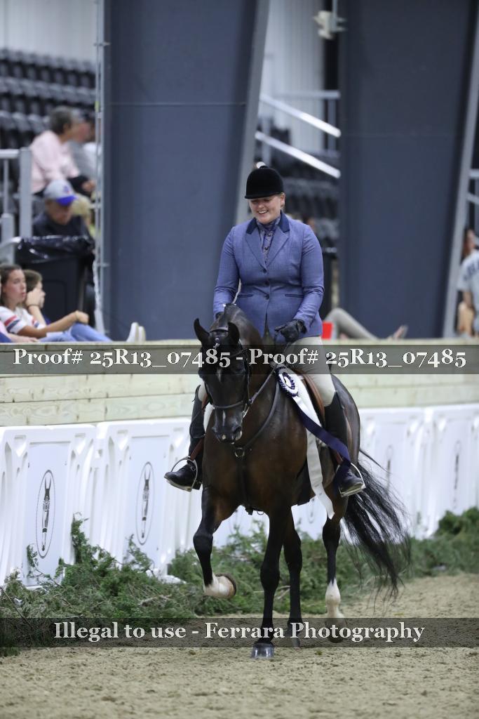 Proof Number 25R13_07485