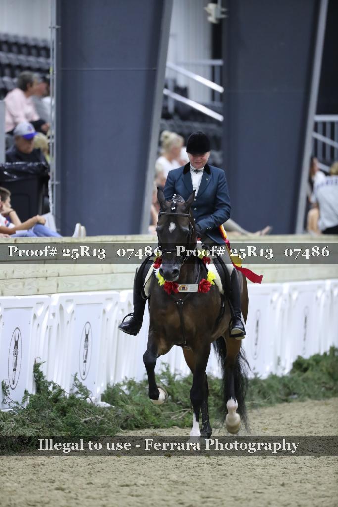 Proof Number 25R13_07486