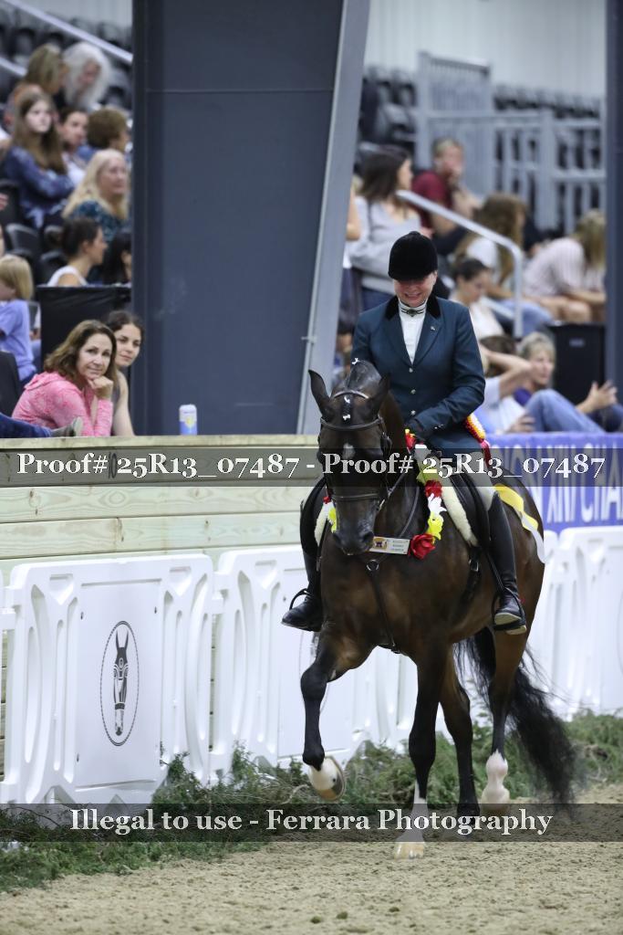 Proof Number 25R13_07487