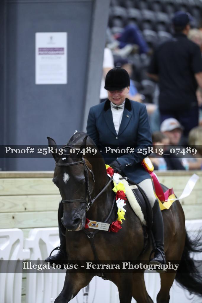 Proof Number 25R13_07489