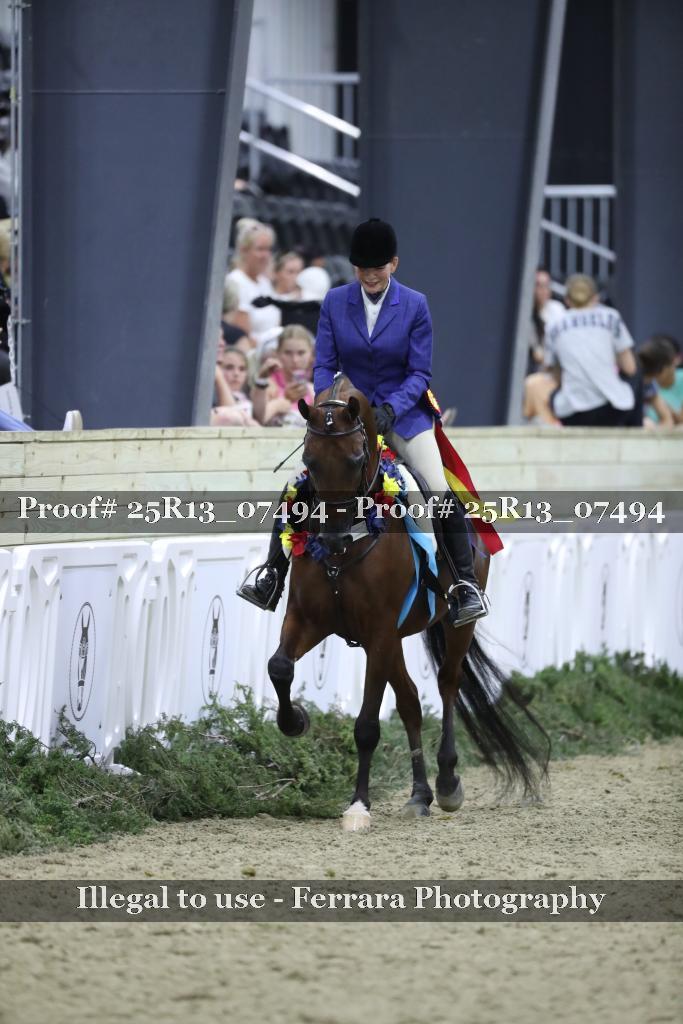 Proof Number 25R13_07494