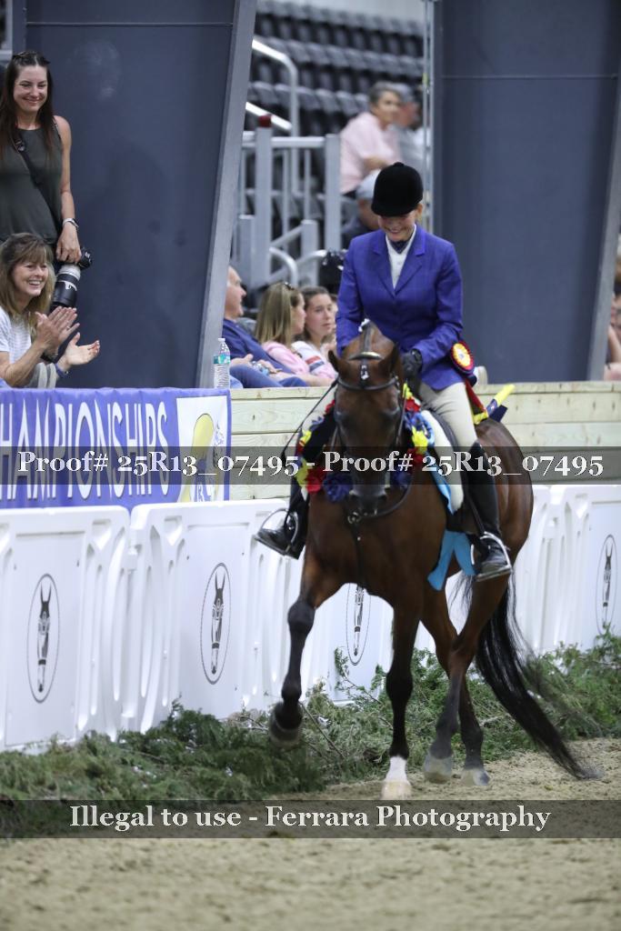 Proof Number 25R13_07495