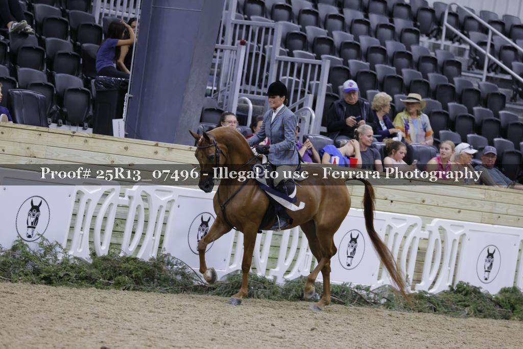 Proof Number 25R13_07496