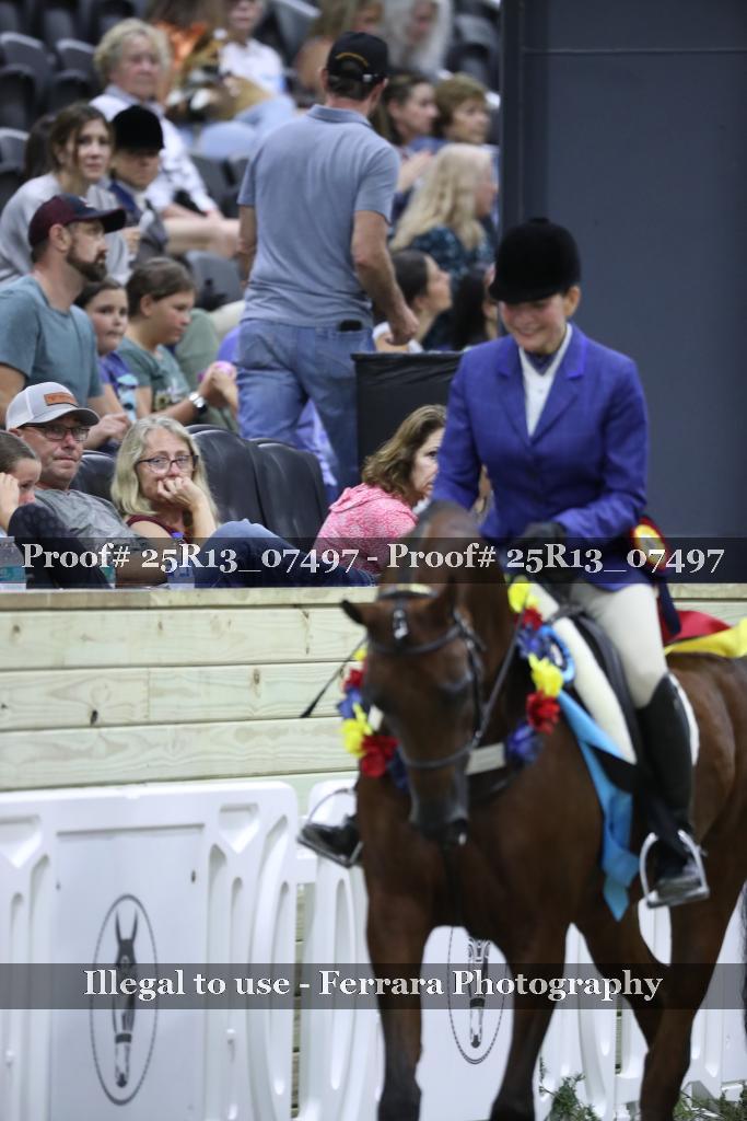 Proof Number 25R13_07497