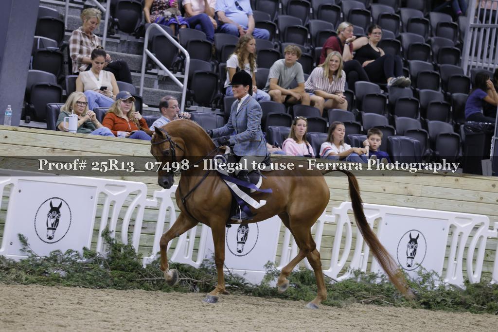 Proof Number 25R13_07498