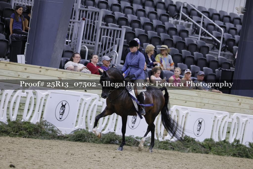 Proof Number 25R13_07502