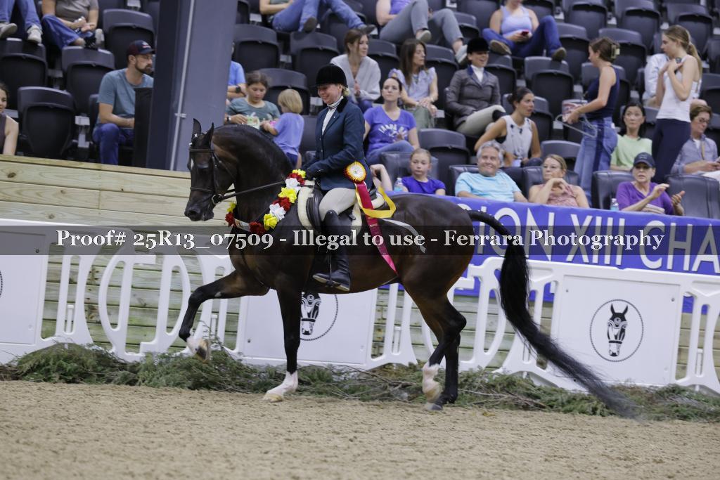Proof Number 25R13_07509