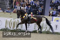 25R13_07510 thumbnail