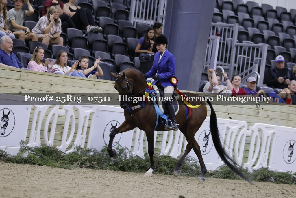 Proof Number 25R13_07511