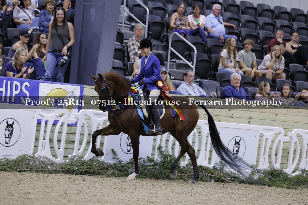 Proof Number 25R13_07512