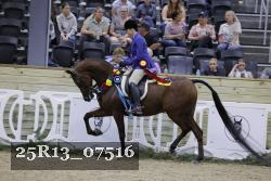 25R13_07516 thumbnail