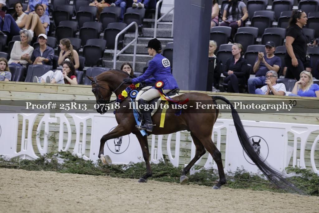 Proof Number 25R13_07518
