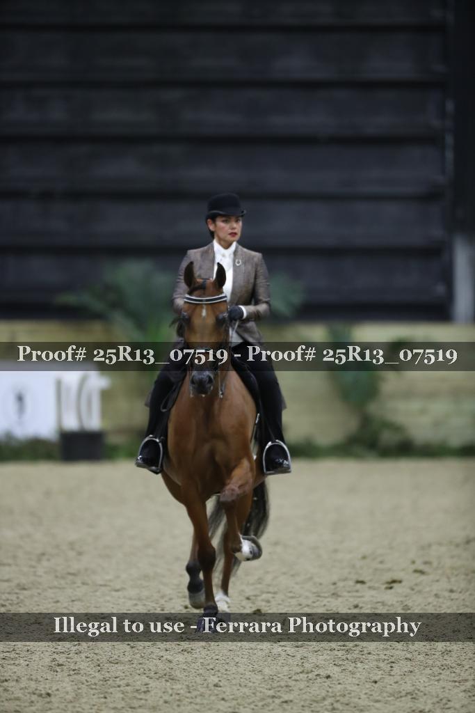 Proof Number 25R13_07519