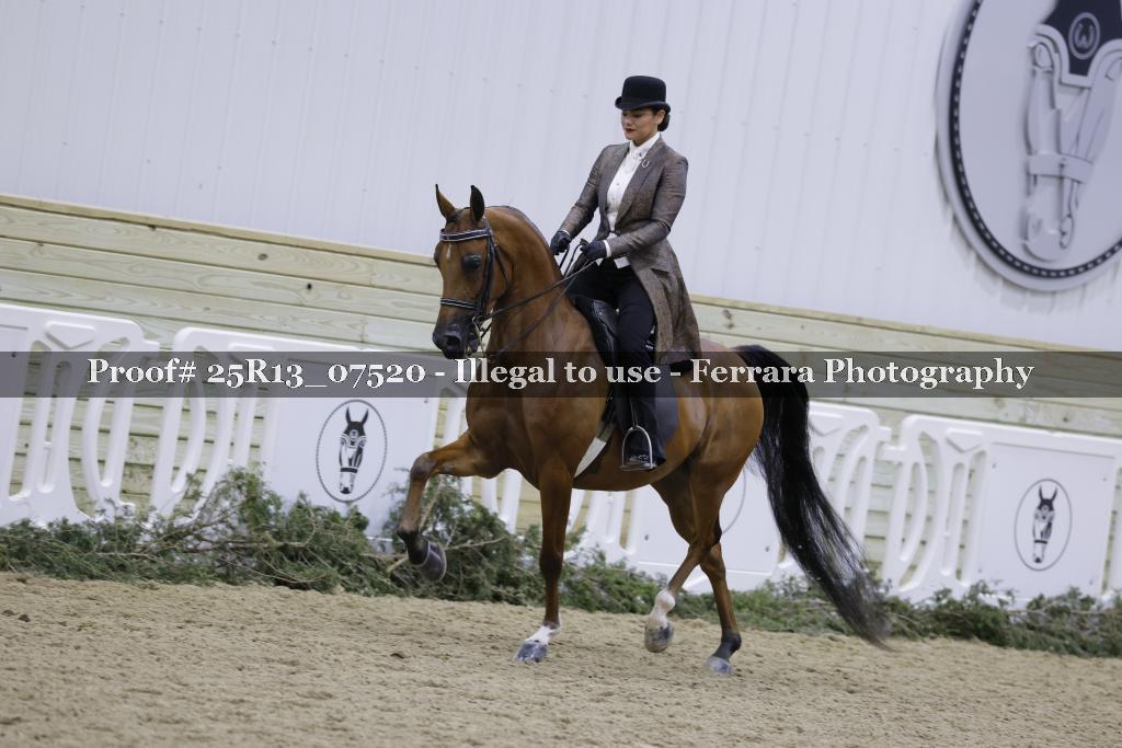 Proof Number 25R13_07520