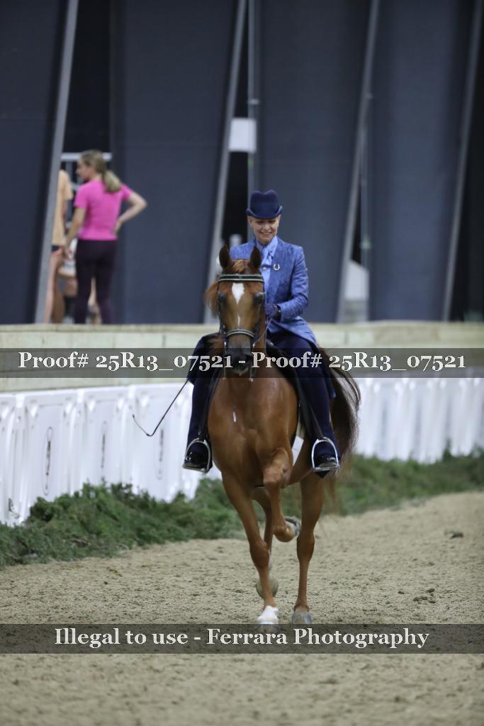 Proof Number 25R13_07521