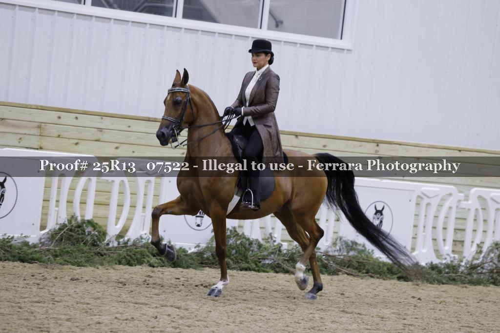 Proof Number 25R13_07522