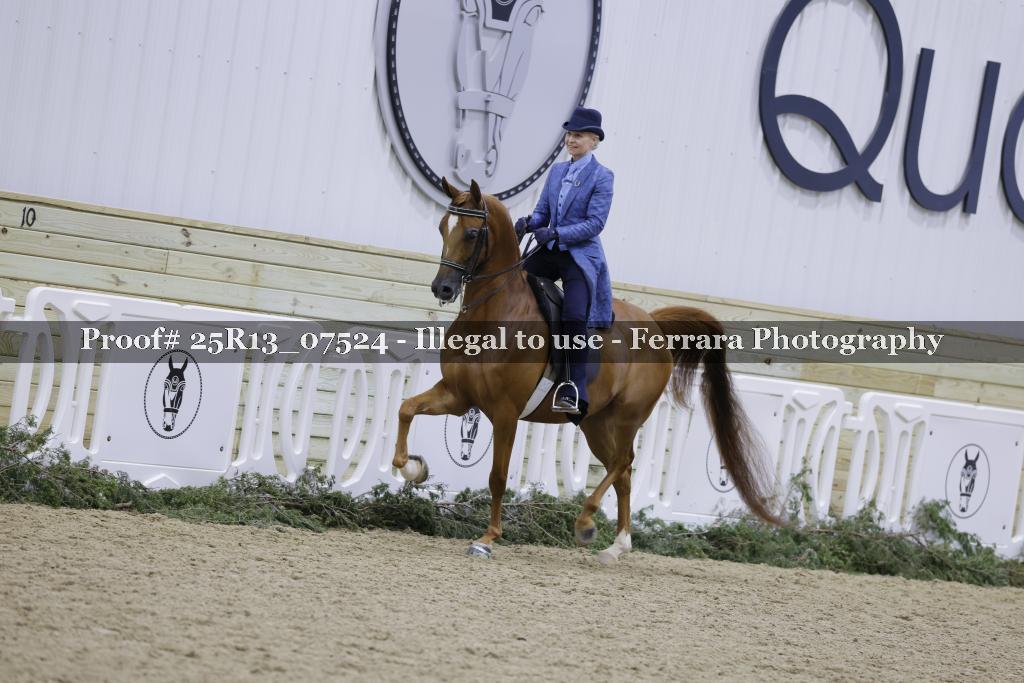Proof Number 25R13_07524
