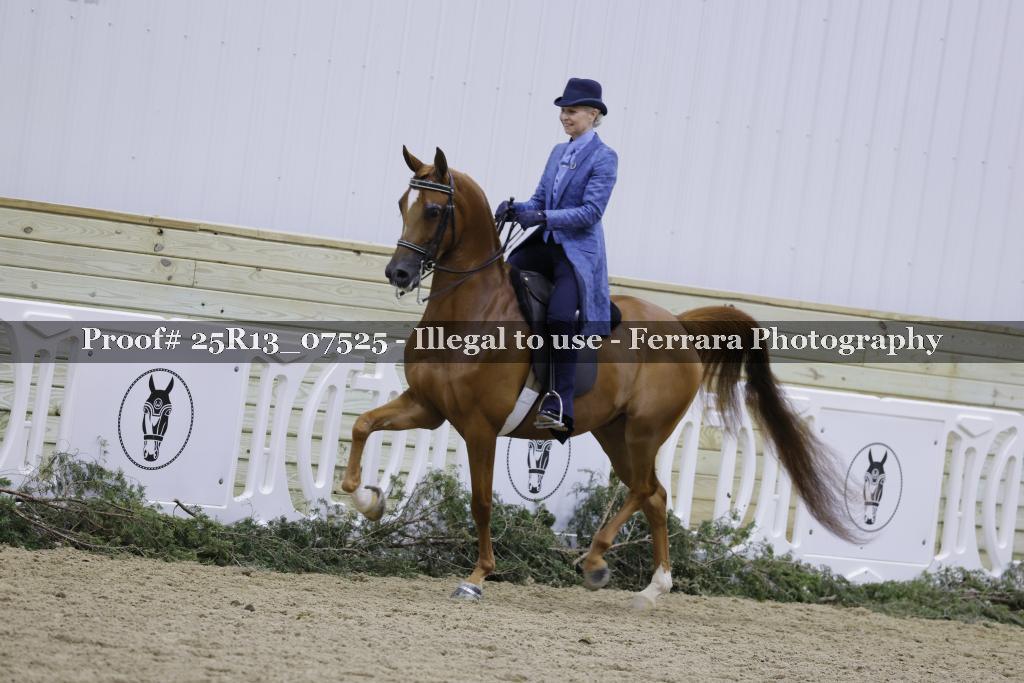 Proof Number 25R13_07525