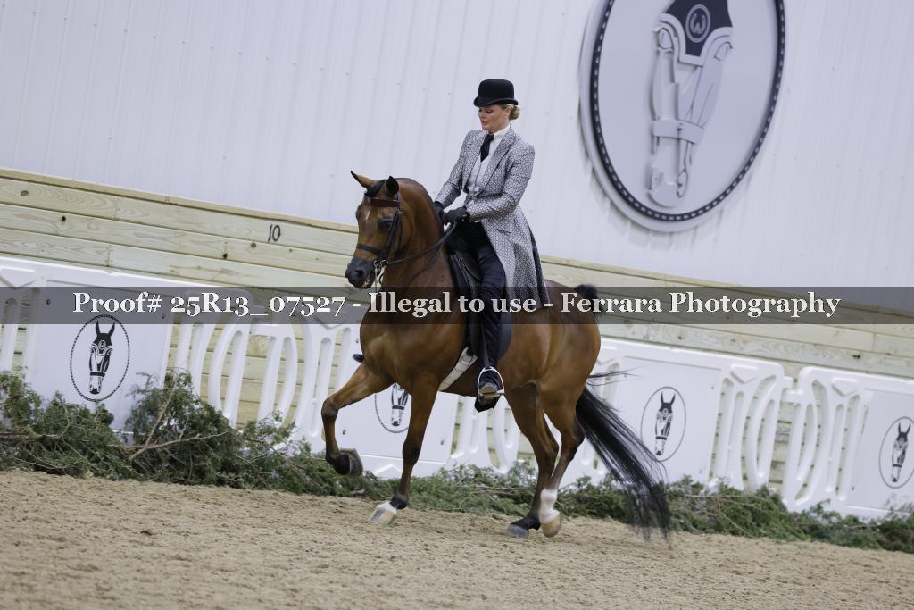 Proof Number 25R13_07527