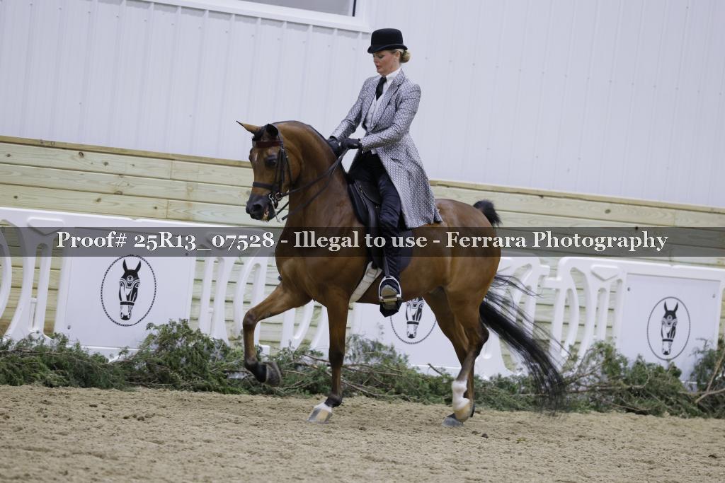 Proof Number 25R13_07528