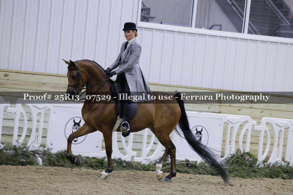 Proof Number 25R13_07529