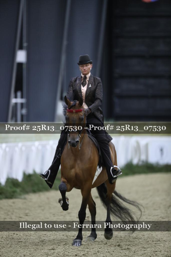 Proof Number 25R13_07530