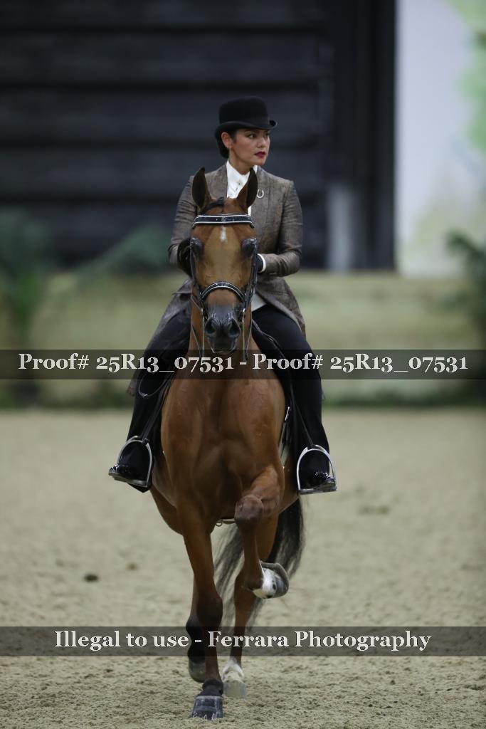 Proof Number 25R13_07531