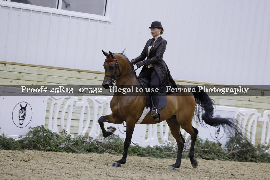Proof Number 25R13_07532