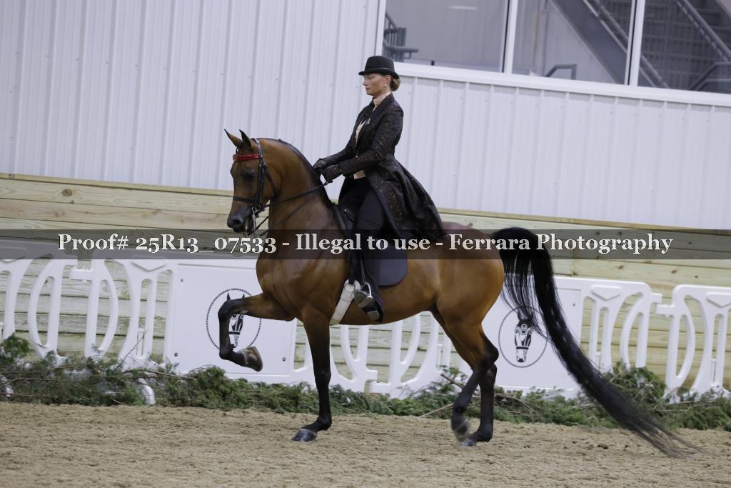 Proof Number 25R13_07533
