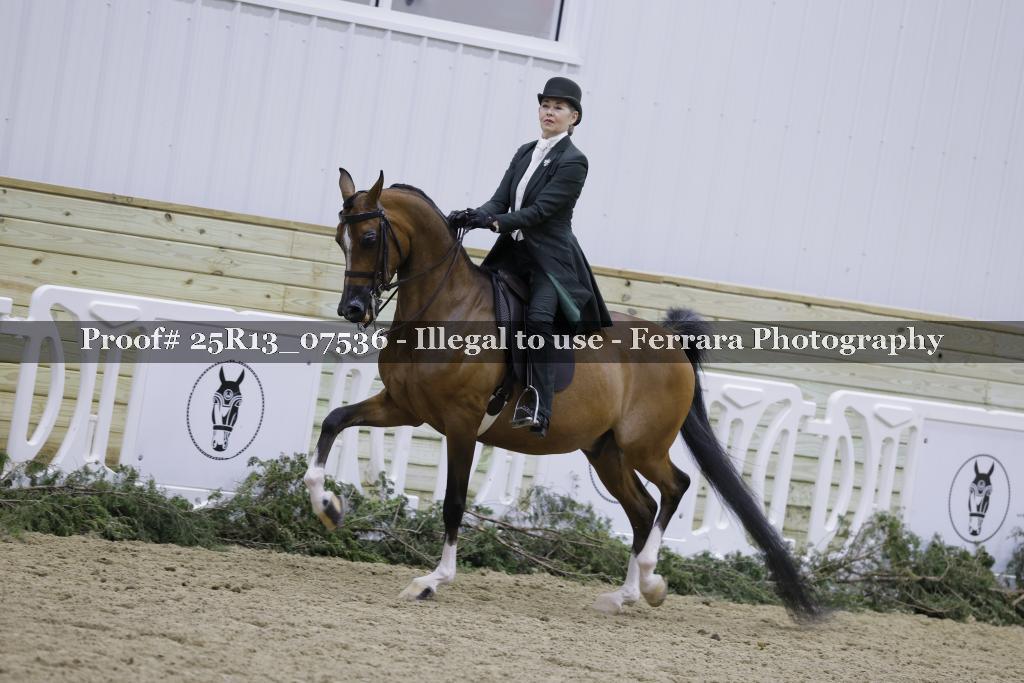Proof Number 25R13_07536