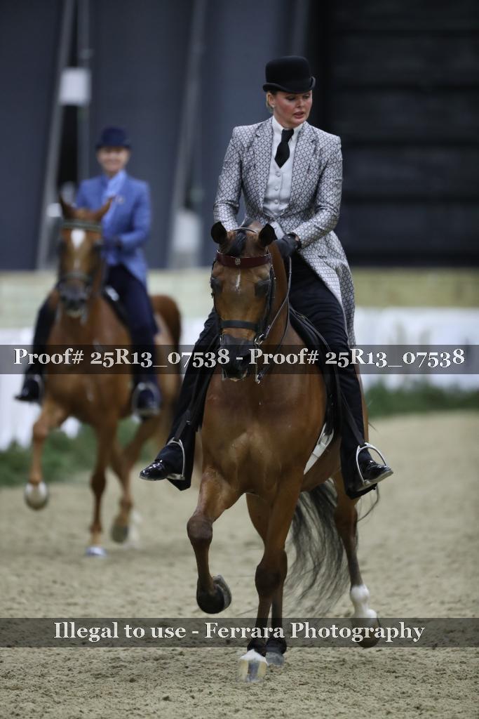 Proof Number 25R13_07538