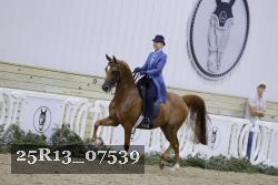 25R13_07539 thumbnail