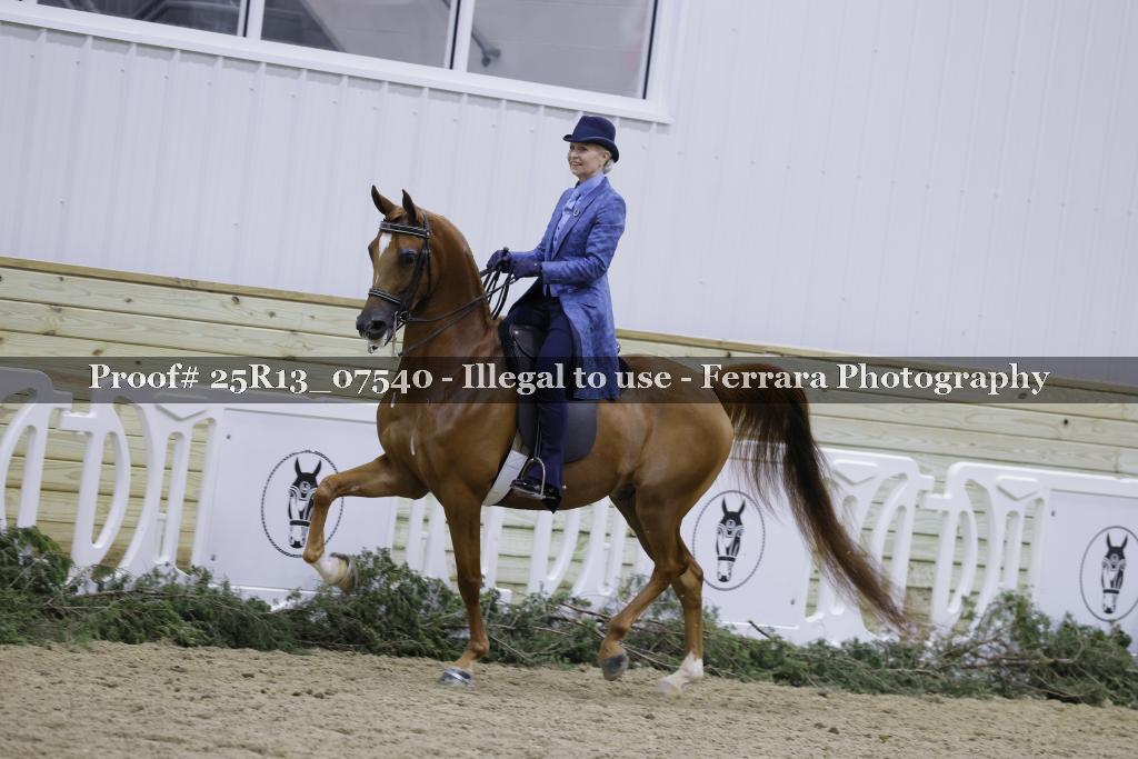 Proof Number 25R13_07540