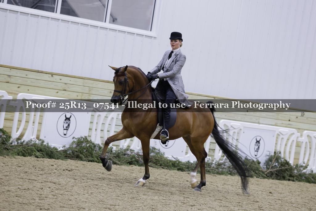 Proof Number 25R13_07541
