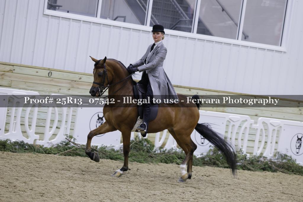 Proof Number 25R13_07542