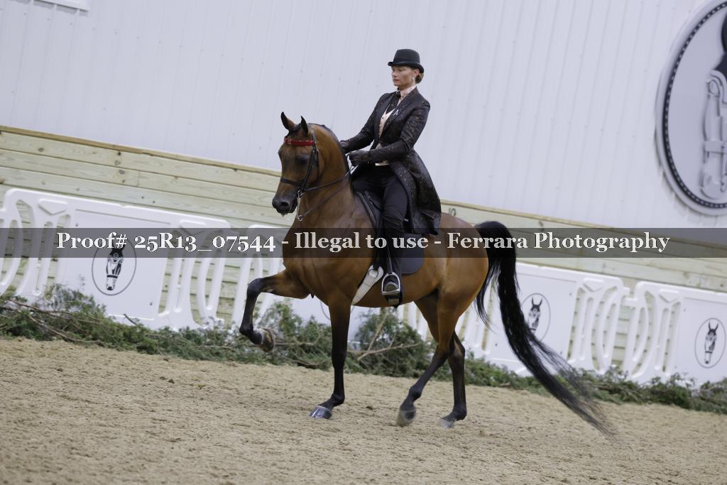 Proof Number 25R13_07544