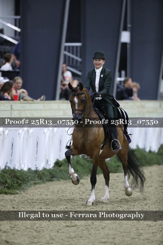 Proof Number 25R13_07550
