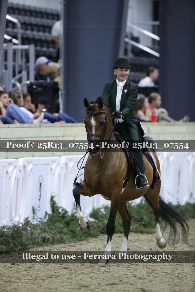 Proof Number 25R13_07554