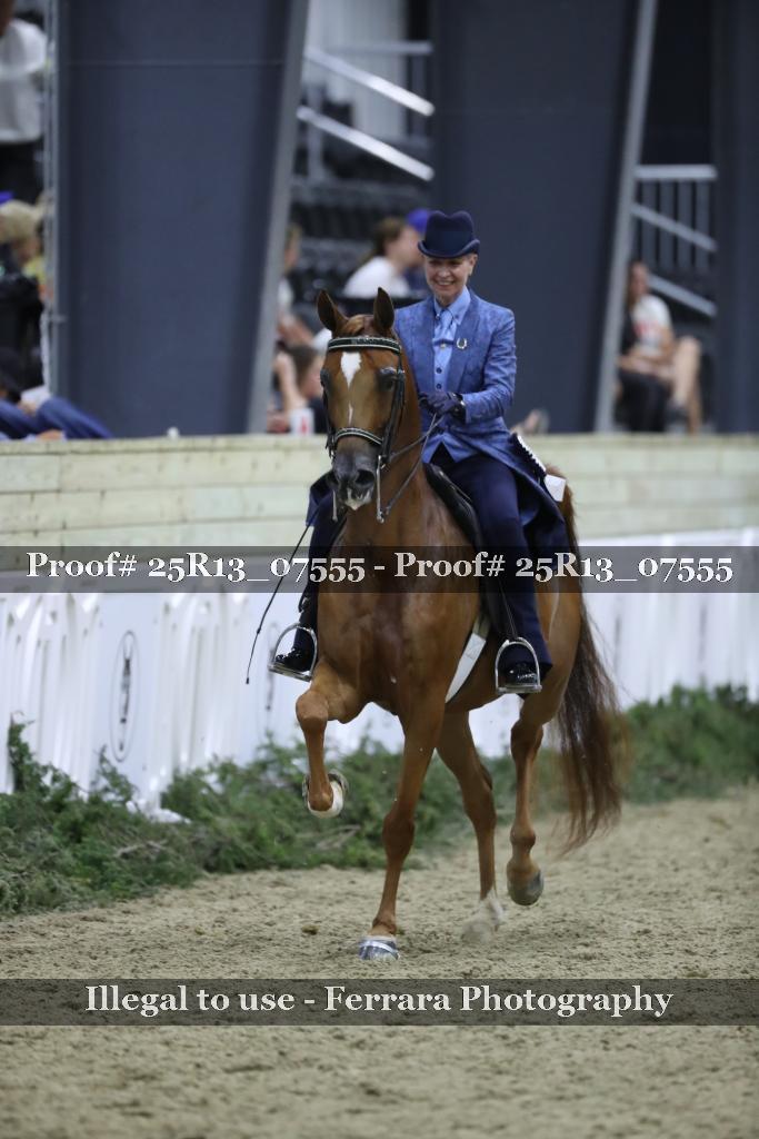Proof Number 25R13_07555