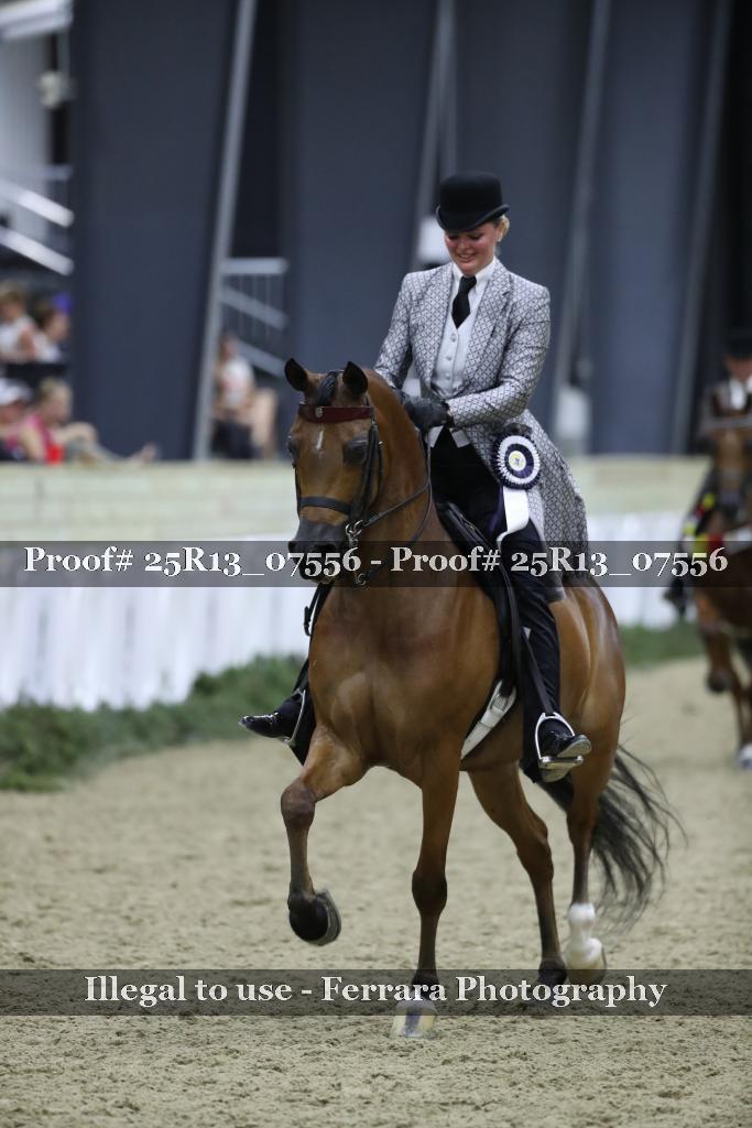 Proof Number 25R13_07556