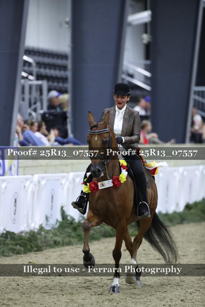 Proof Number 25R13_07557