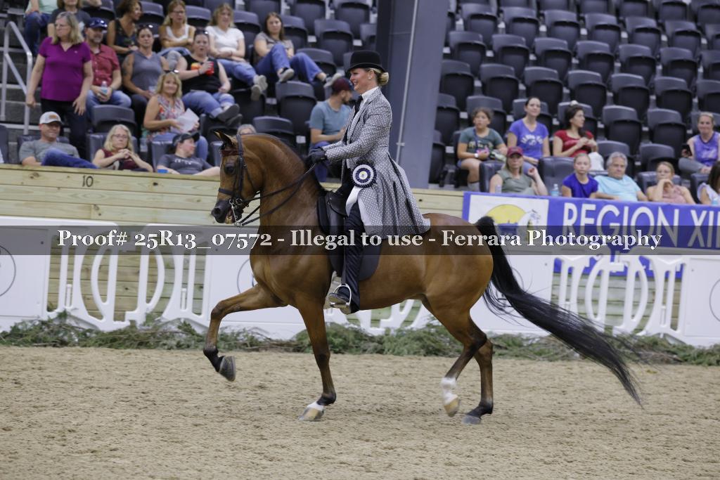 Proof Number 25R13_07572