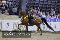 25R13_07575 thumbnail